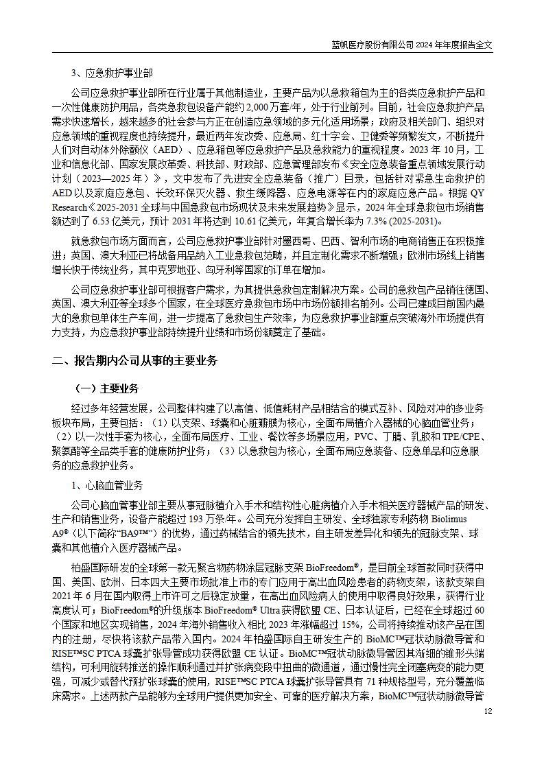 13-2024年年度报告_12