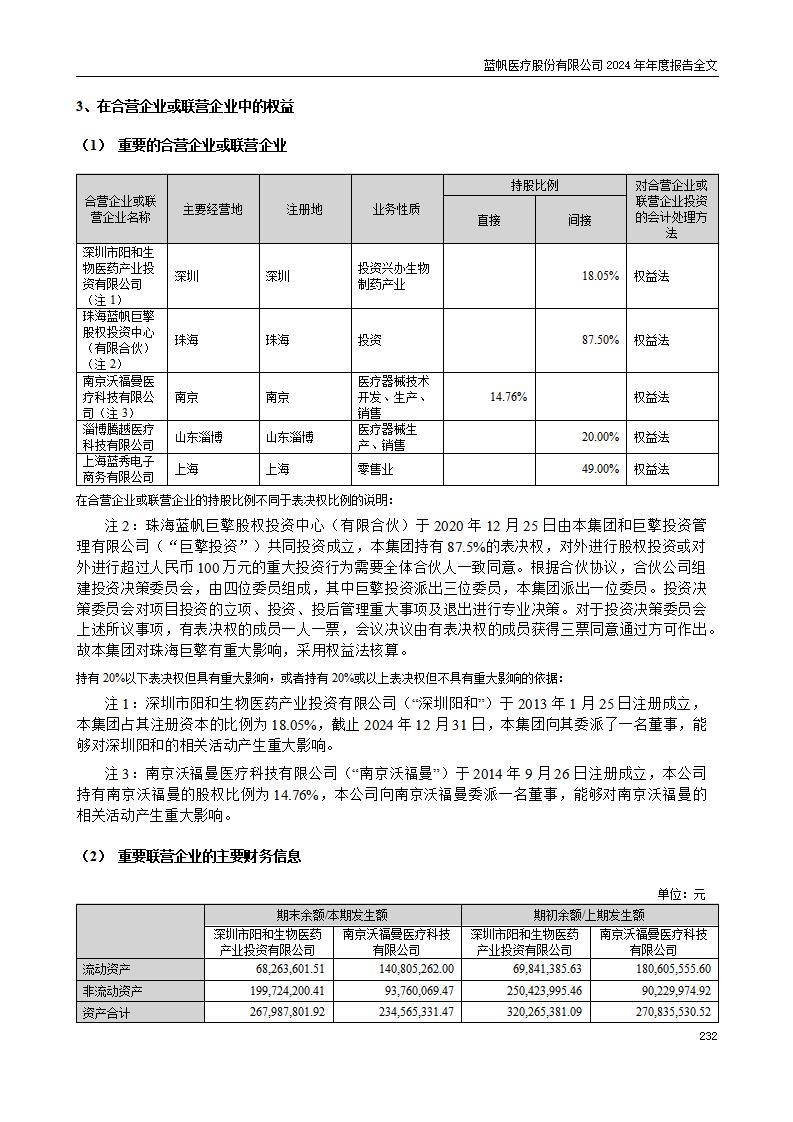 13-2024年年度报告_232