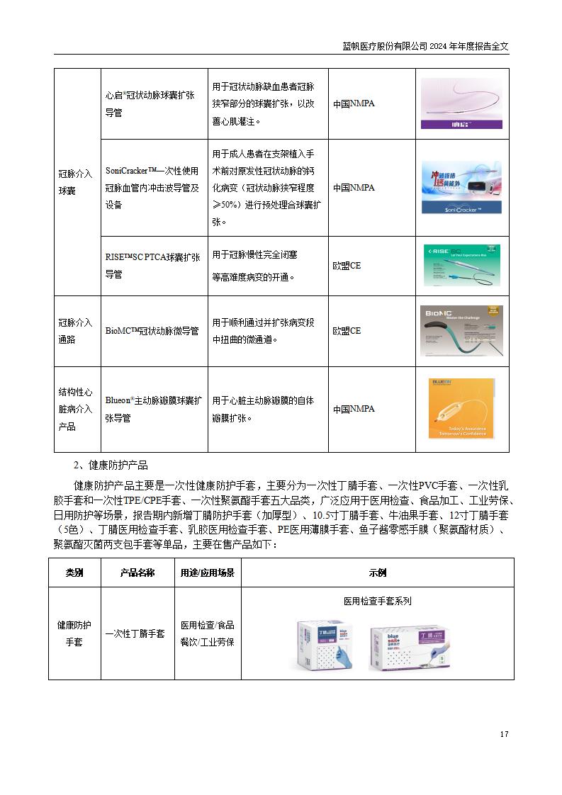 13-2024年年度报告_17