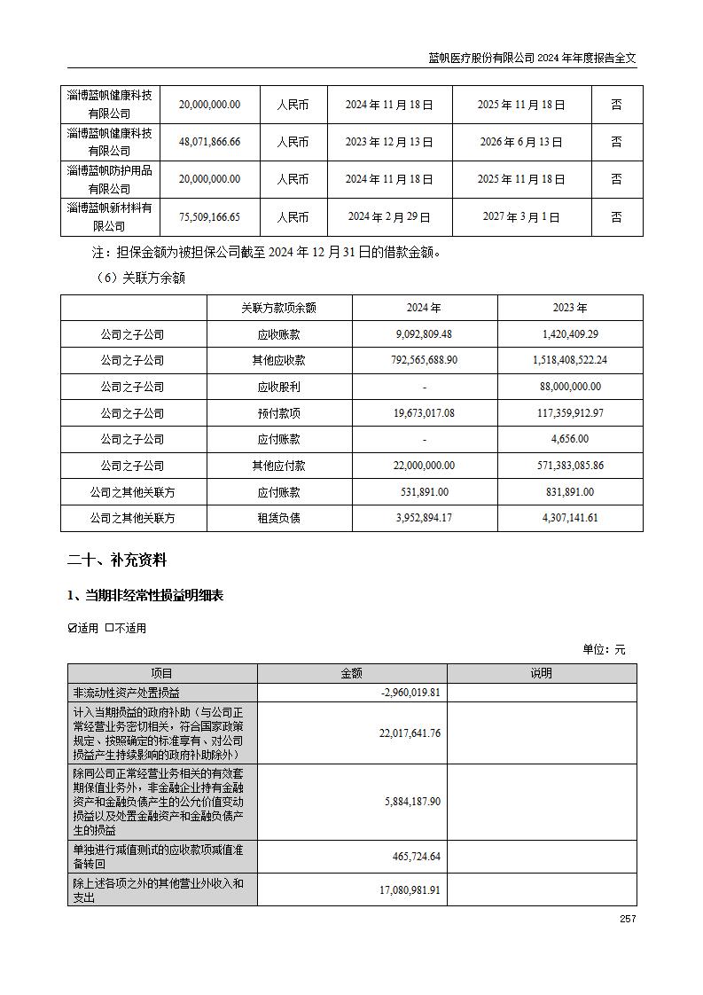 13-2024年年度报告_257