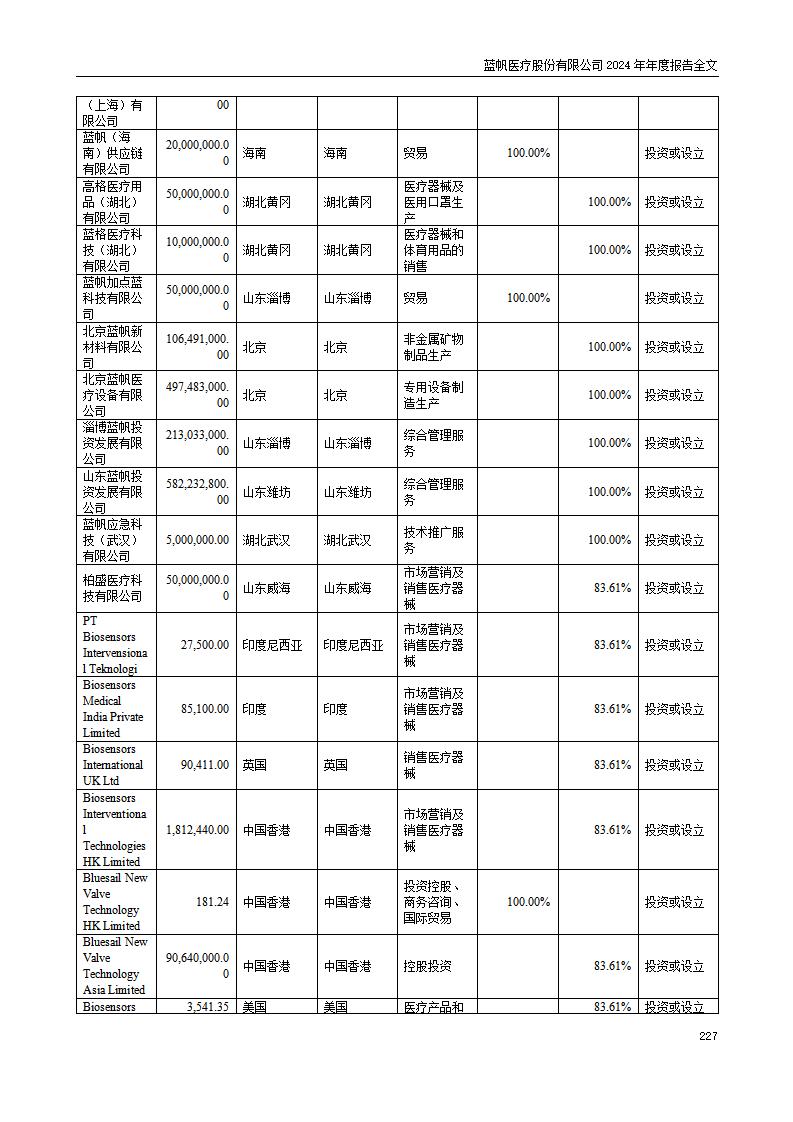 13-2024年年度报告_227