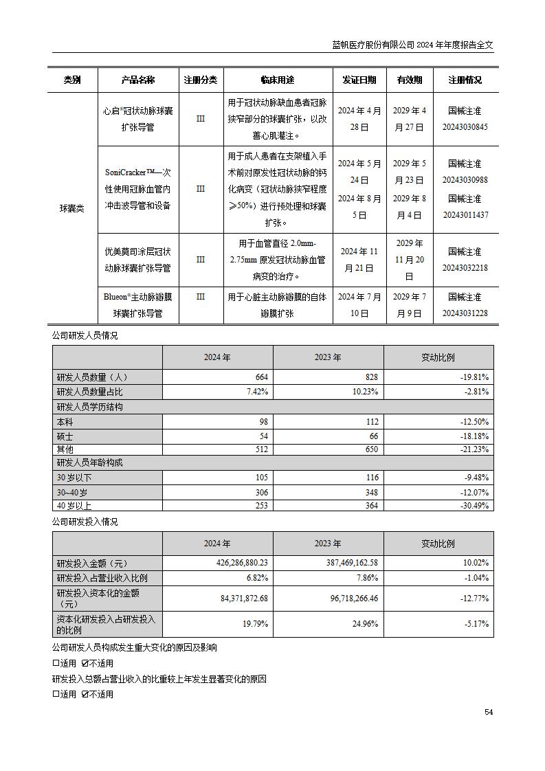 13-2024年年度报告_54