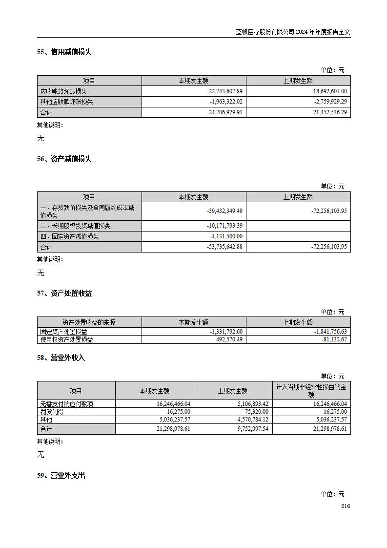 13-2024年年度报告_216