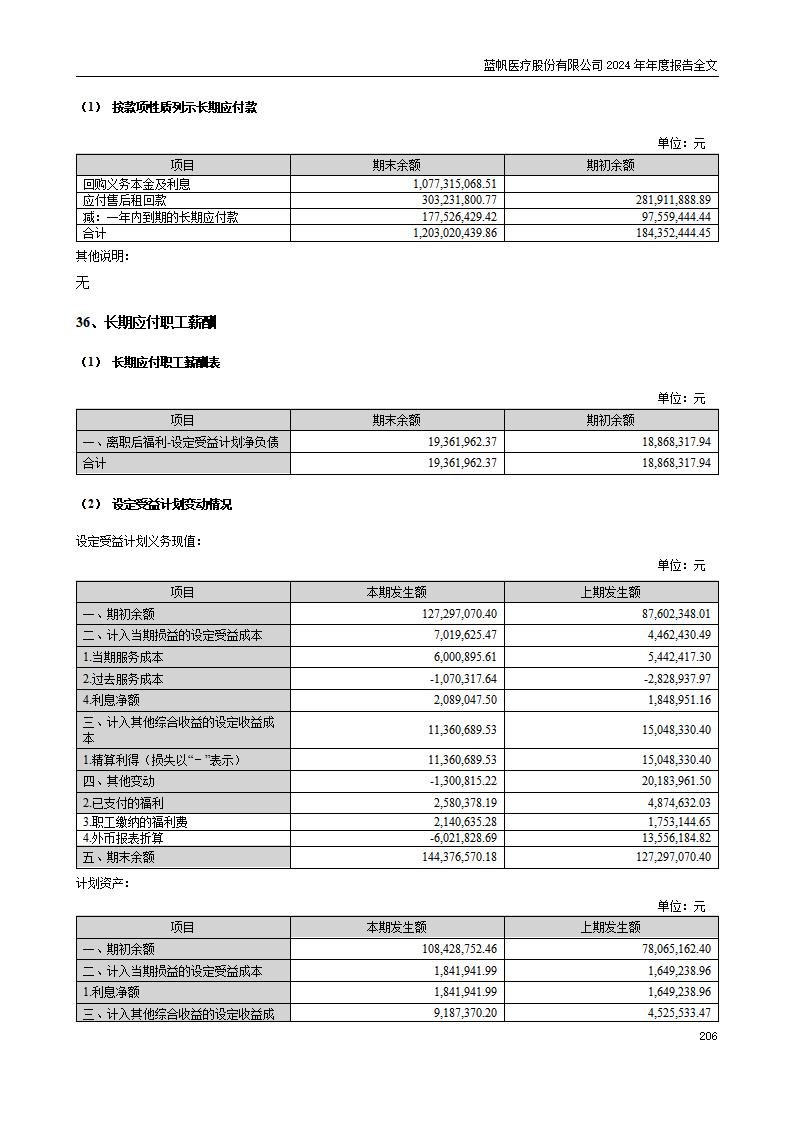 13-2024年年度报告_206
