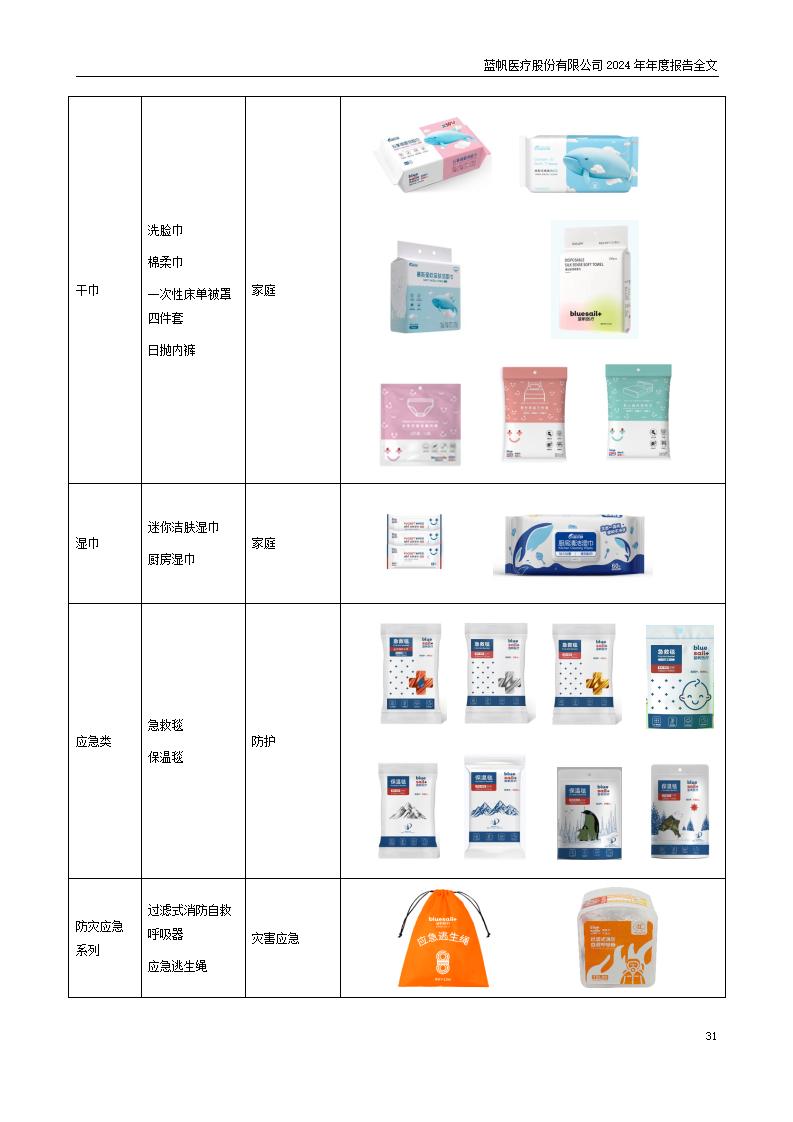 13-2024年年度报告_31