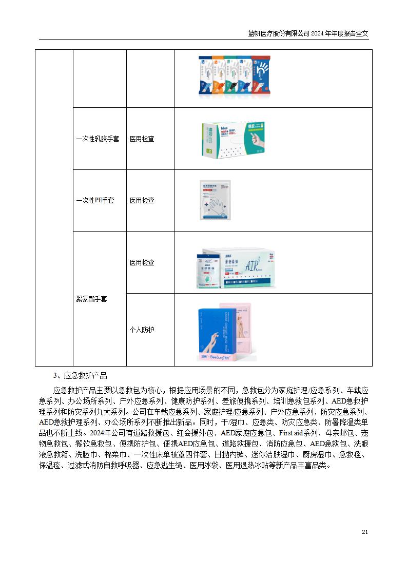 13-2024年年度报告_21