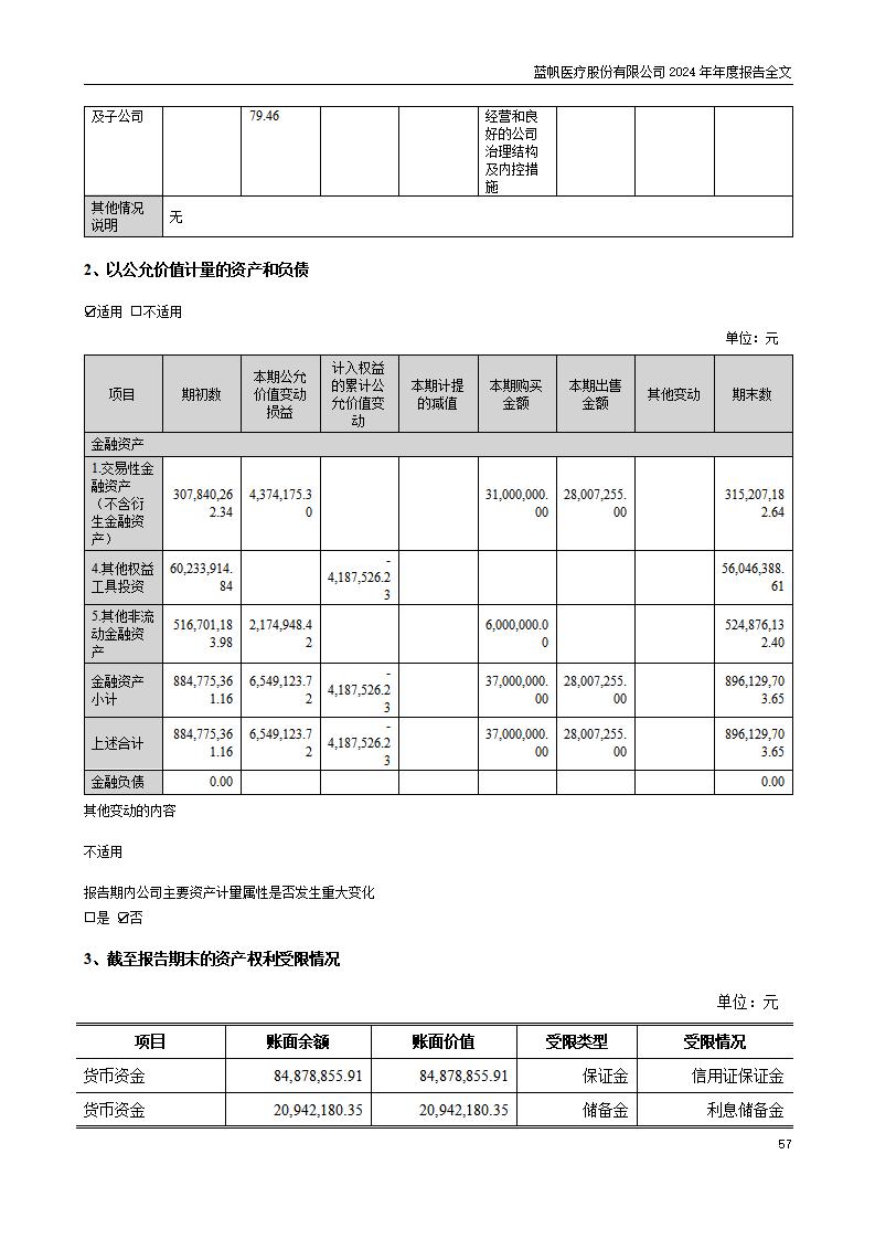 13-2024年年度报告_57