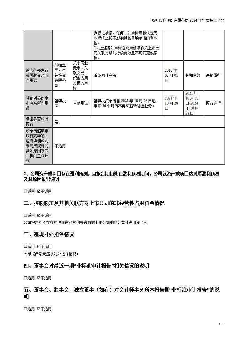 13-2024年年度报告_103