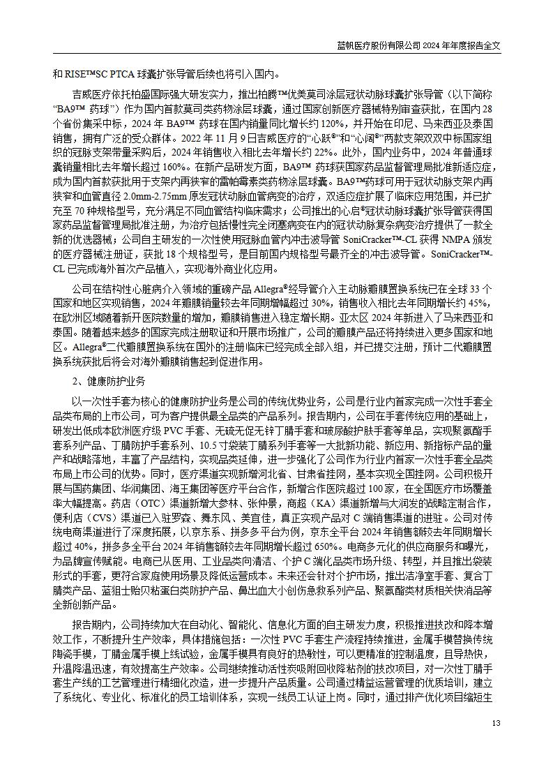 13-2024年年度报告_13