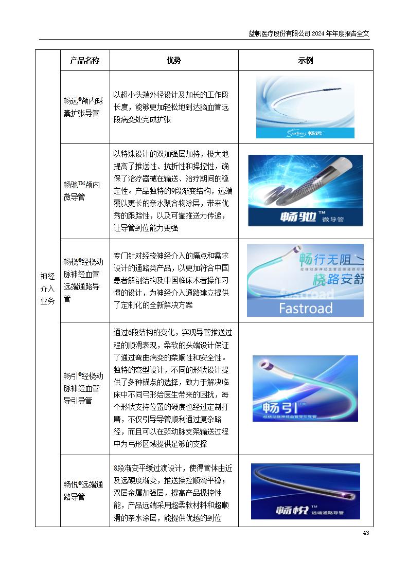 13-2024年年度报告_43