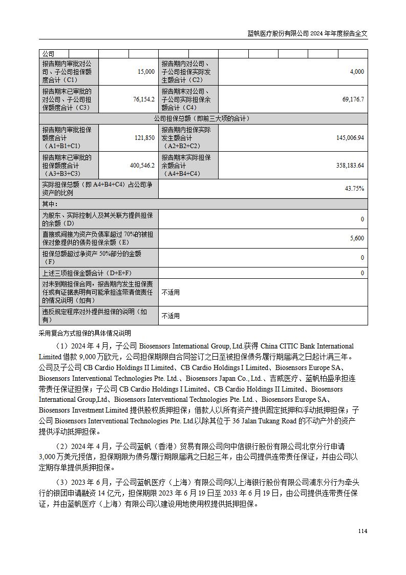 13-2024年年度报告_114