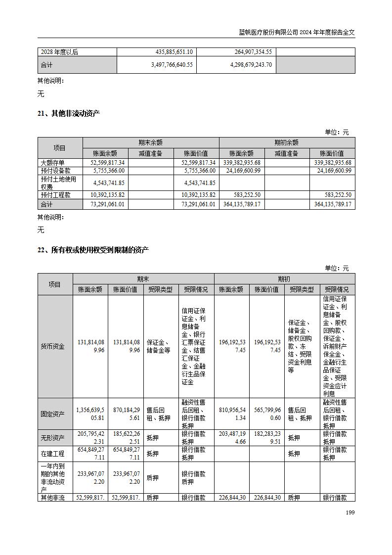 13-2024年年度报告_199