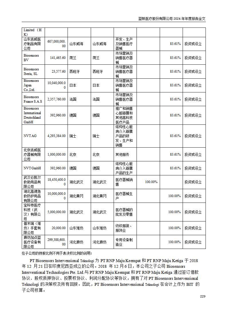 13-2024年年度报告_229