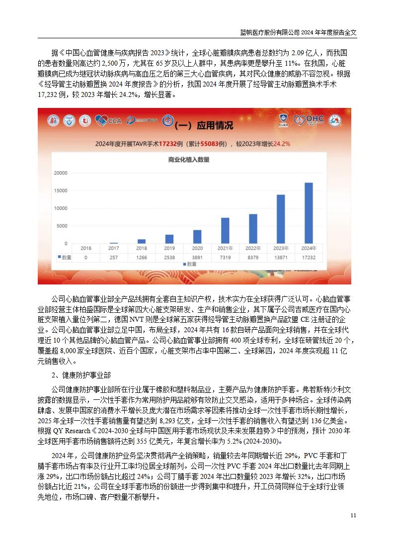 13-2024年年度报告_11