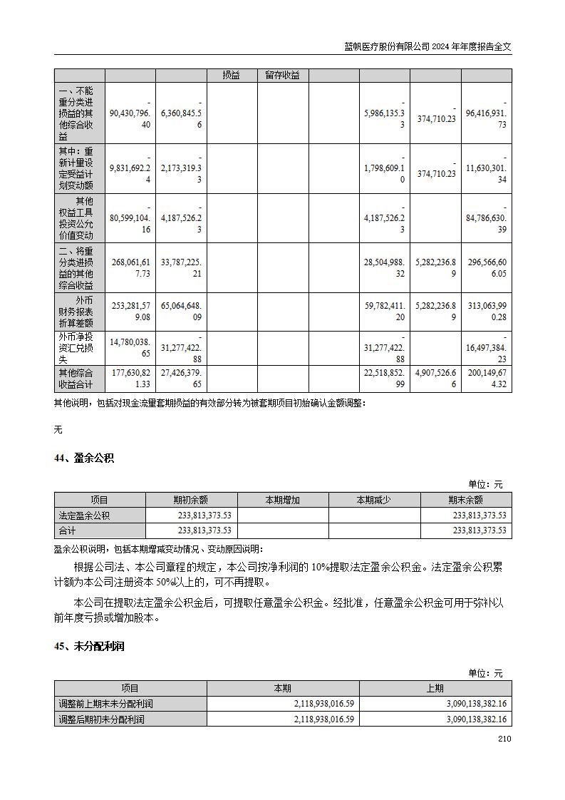 13-2024年年度报告_210