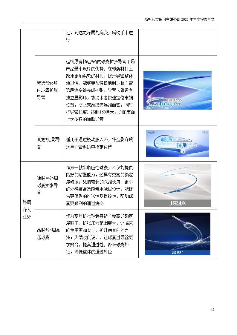 13-2024年年度报告_44