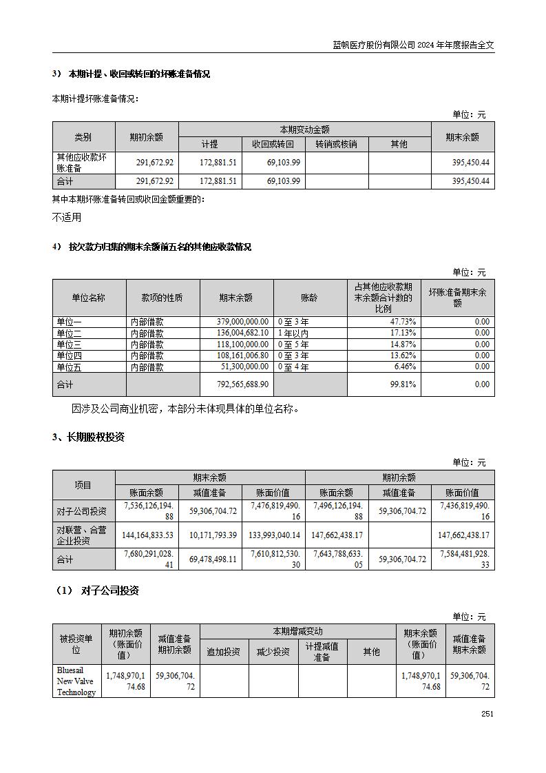 13-2024年年度报告_251