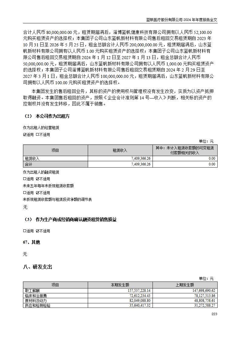 13-2024年年度报告_223