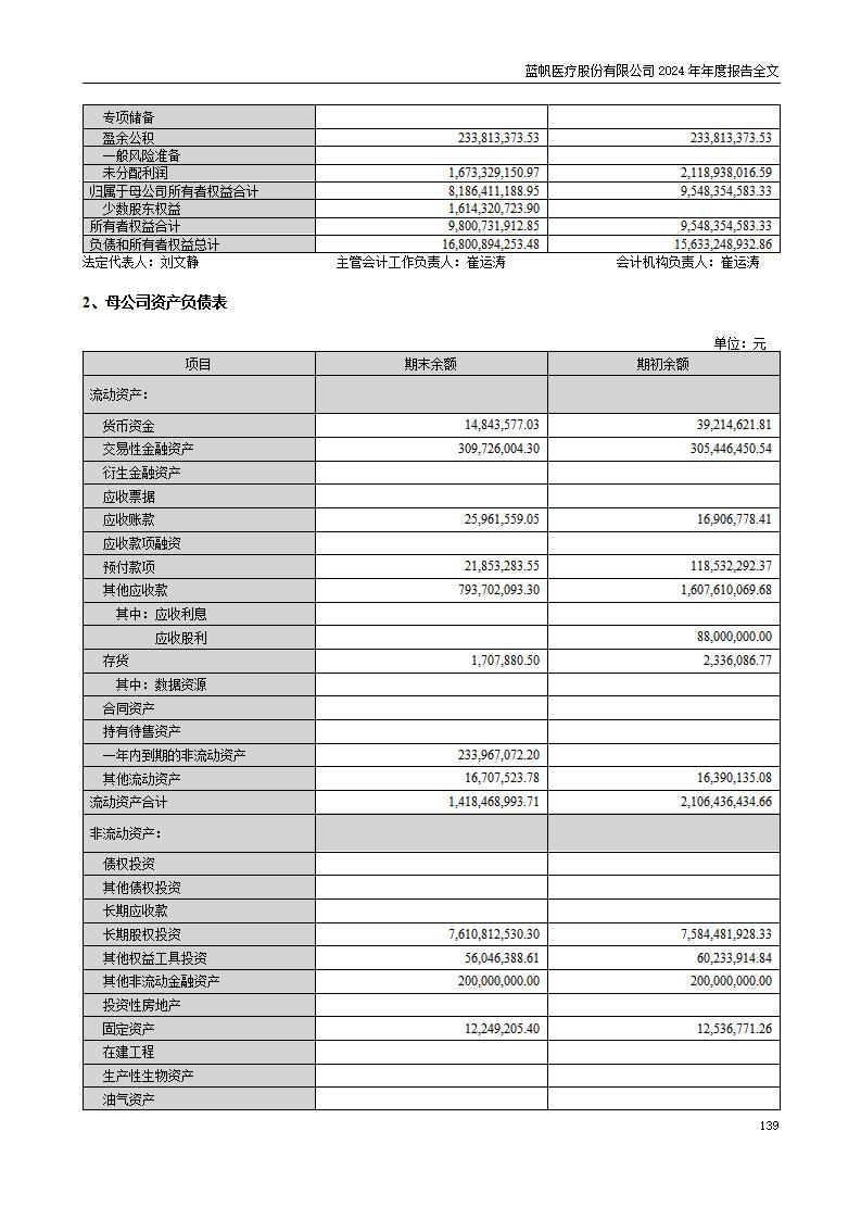 13-2024年年度报告_139