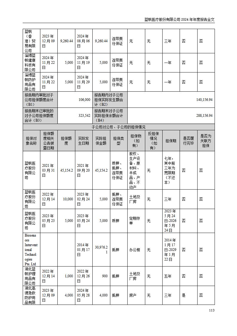 13-2024年年度报告_113