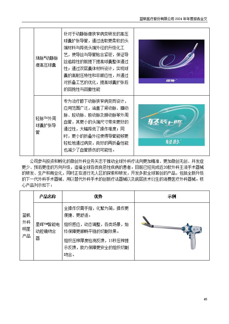 13-2024年年度报告_45