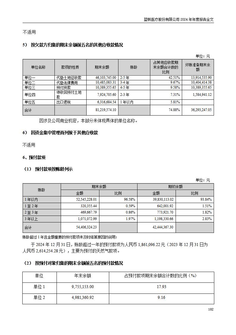 13-2024年年度报告_182