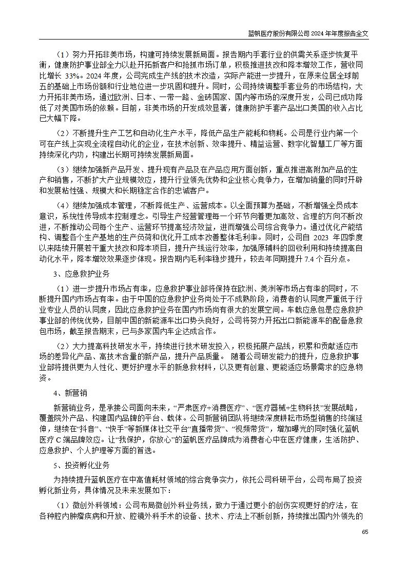 13-2024年年度报告_65