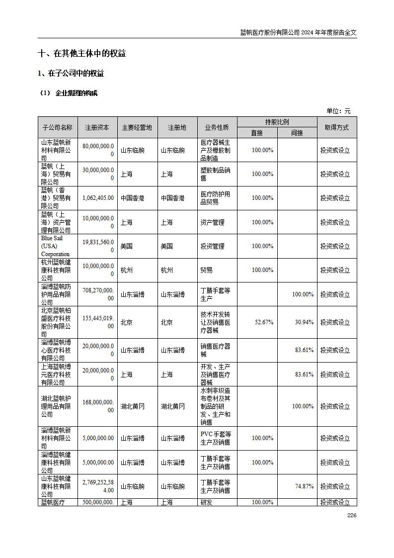 13-2024年年度报告_226