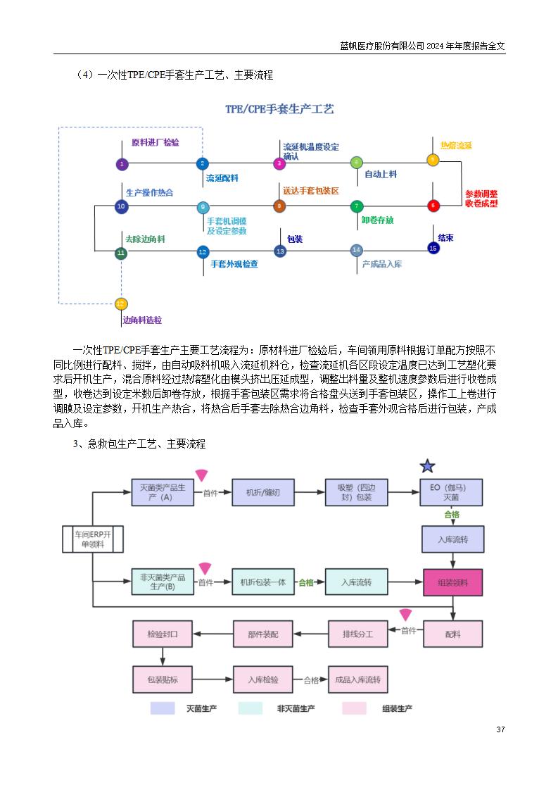 13-2024年年度报告_37