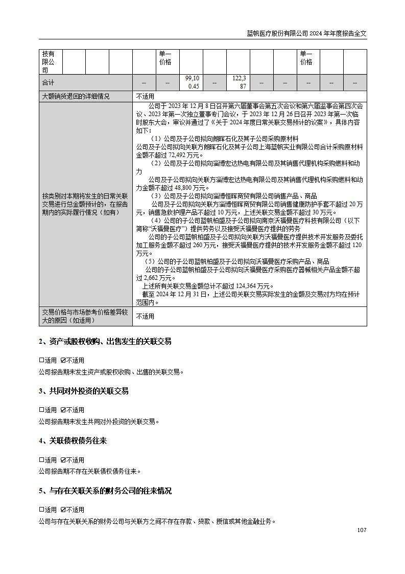13-2024年年度报告_107