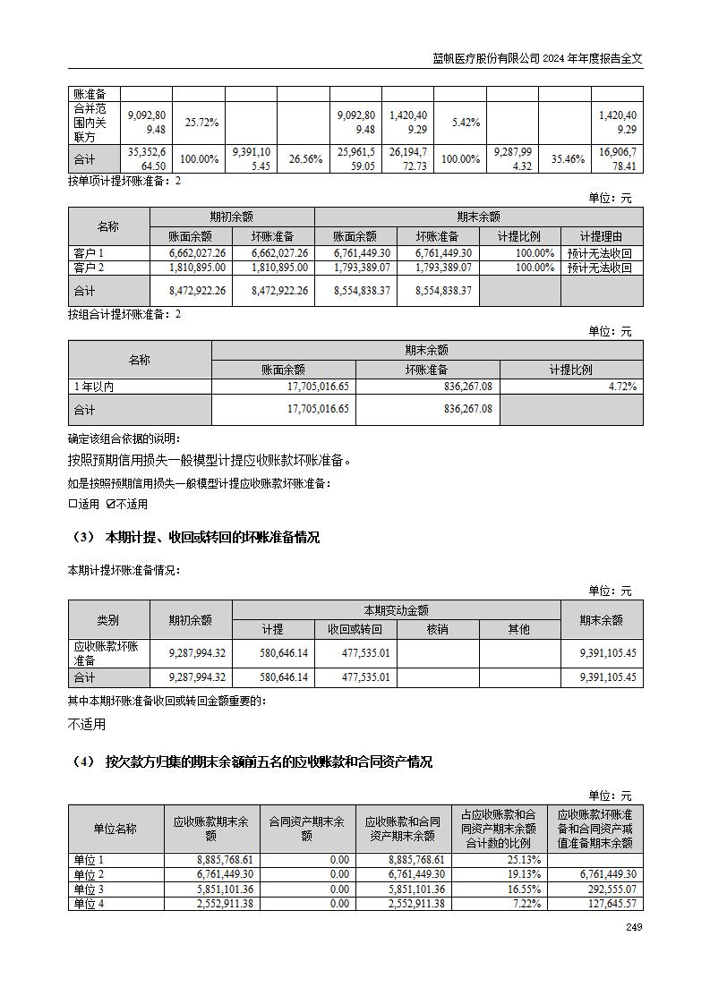 13-2024年年度报告_249