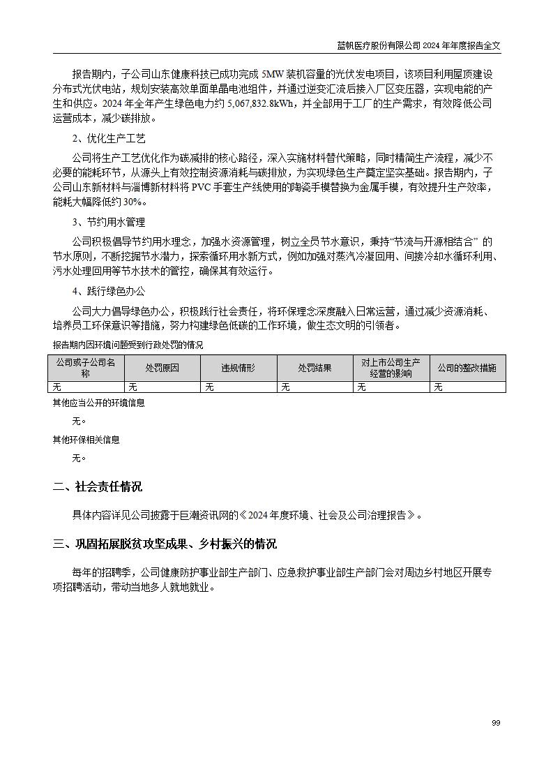 13-2024年年度报告_99
