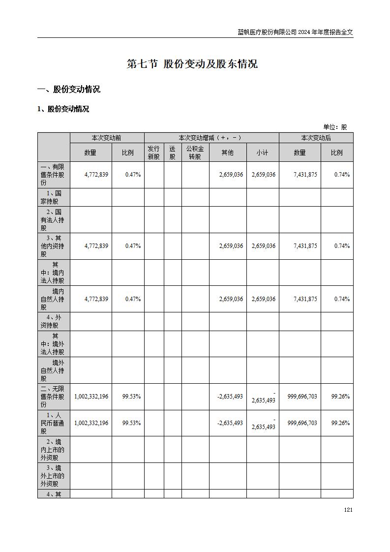 13-2024年年度报告_121