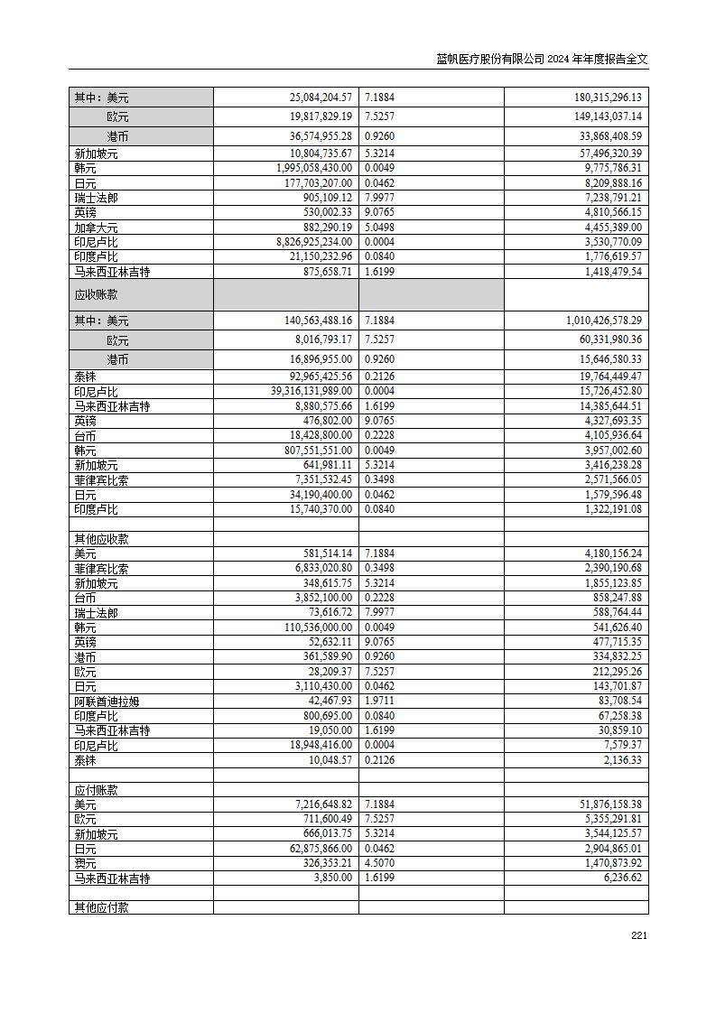 13-2024年年度报告_221