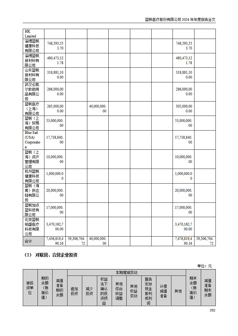 13-2024年年度报告_252