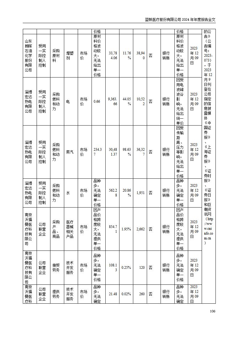 13-2024年年度报告_106
