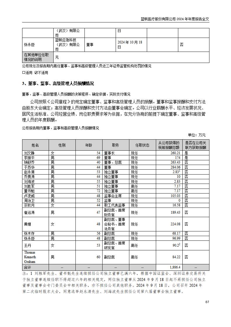 13-2024年年度报告_87