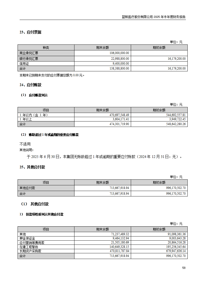 8-2025年半年度财务报告_58