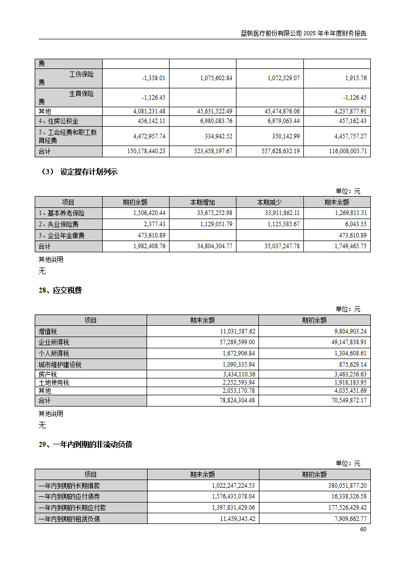 8-2025年半年度财务报告_60