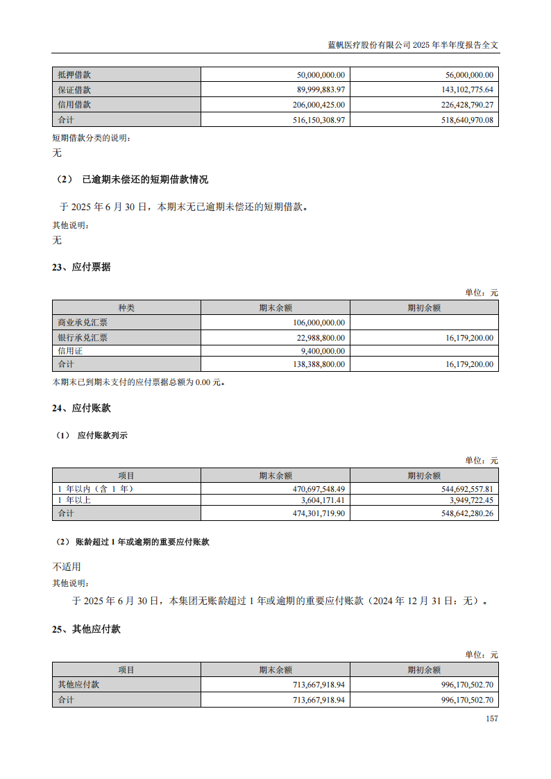 bob电竞竞技
医疗：2025年半年度报告_157