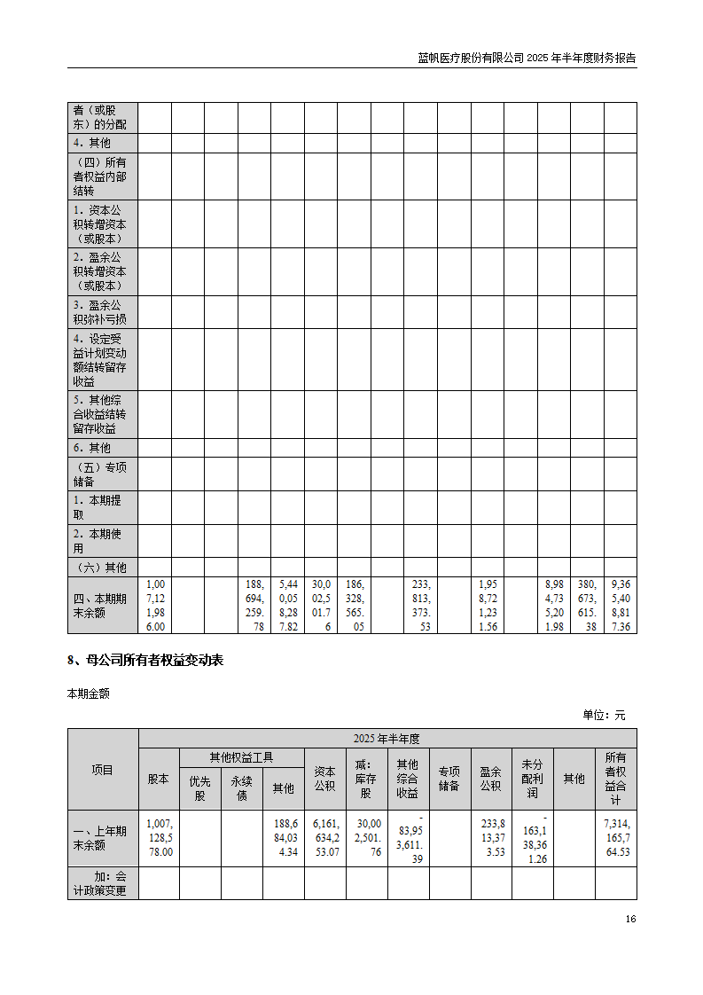 8-2025年半年度财务报告_16