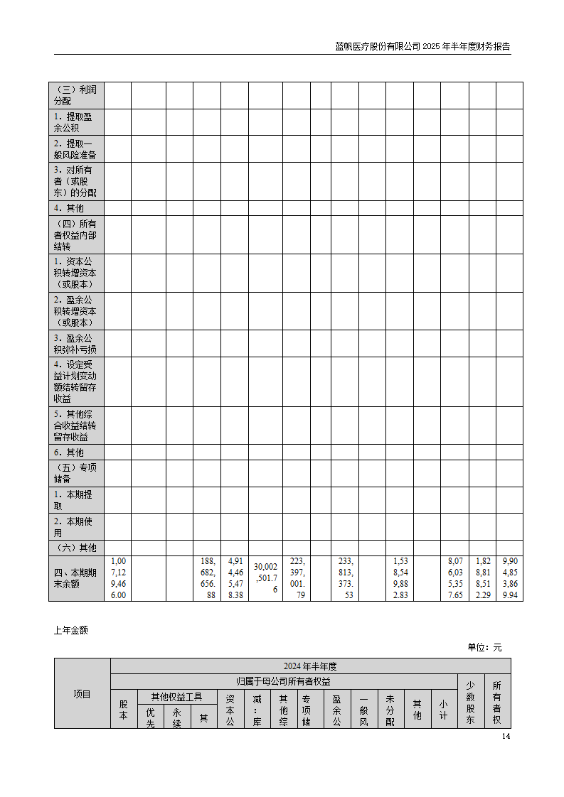 8-2025年半年度财务报告_14