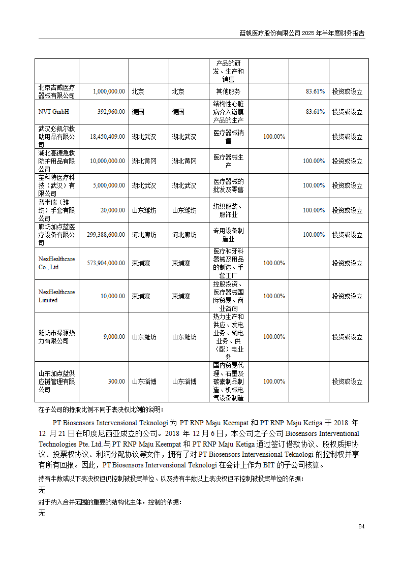 8-2025年半年度财务报告_84