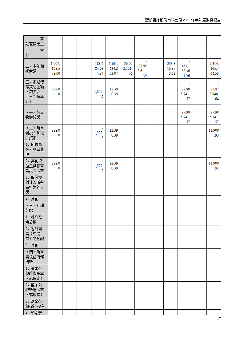 8-2025年半年度财务报告_17
