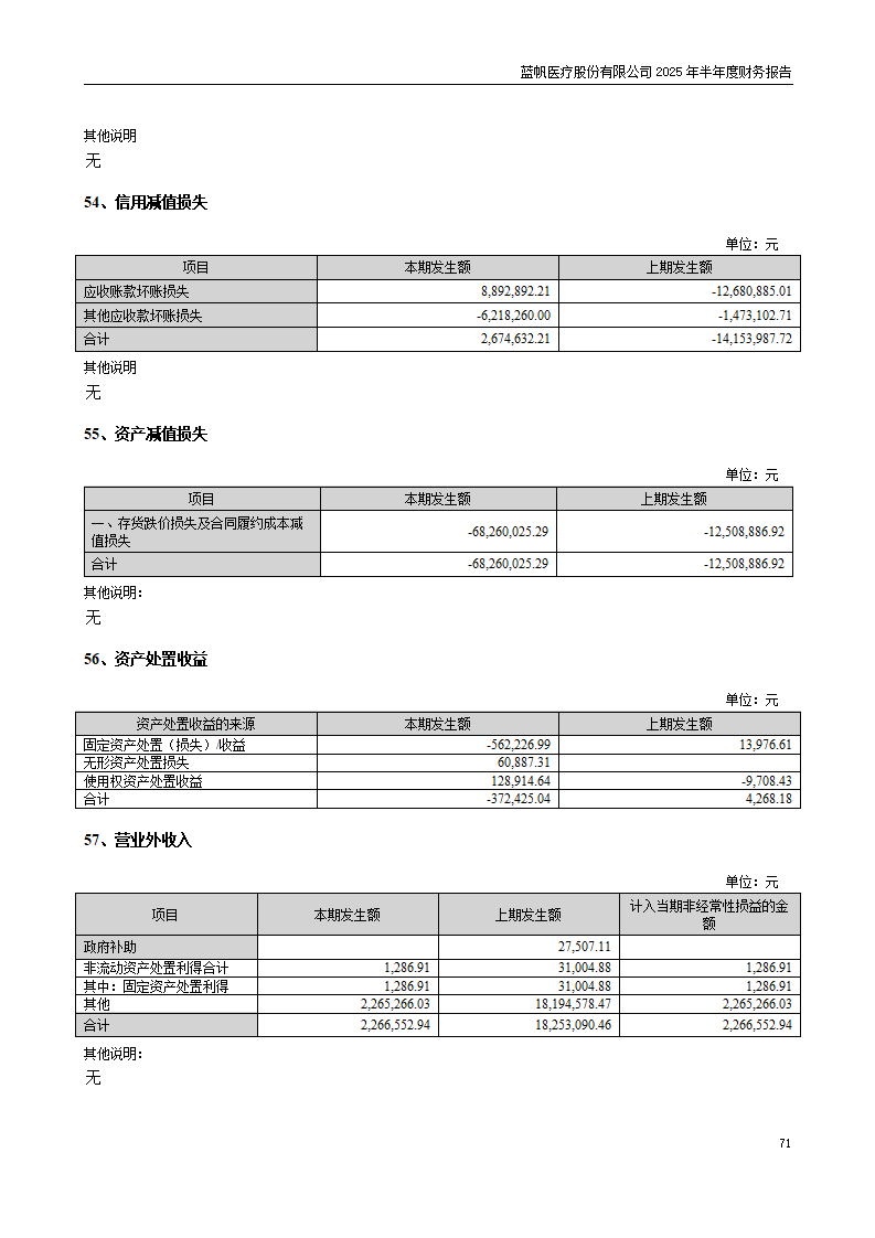 8-2025年半年度财务报告_71
