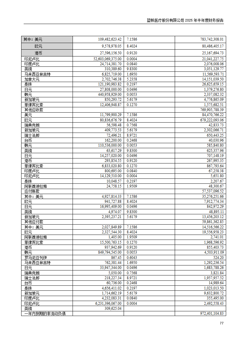 8-2025年半年度财务报告_77