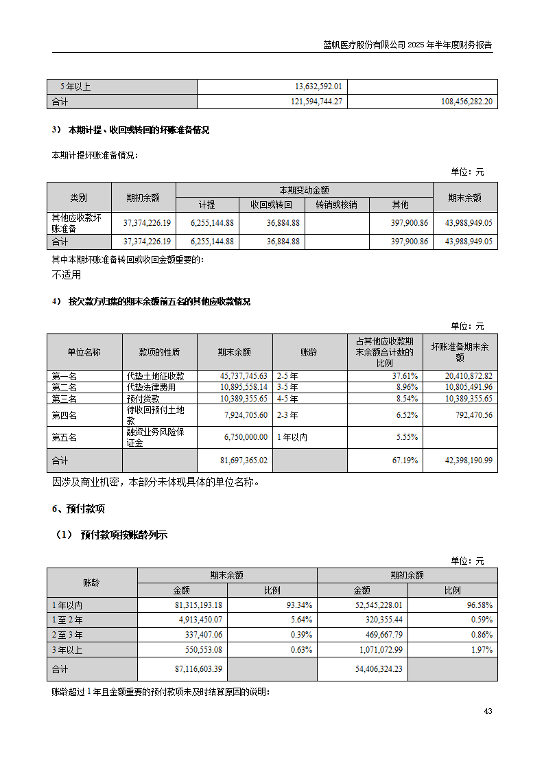 8-2025年半年度财务报告_43