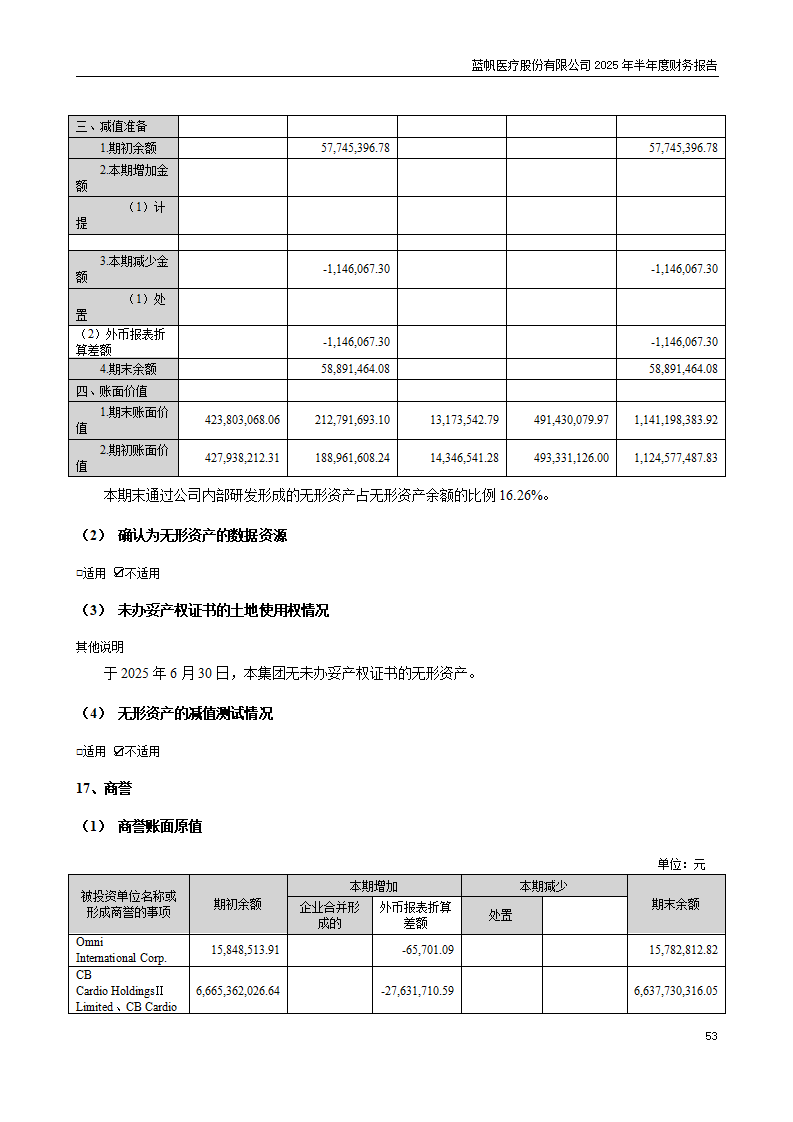 8-2025年半年度财务报告_53
