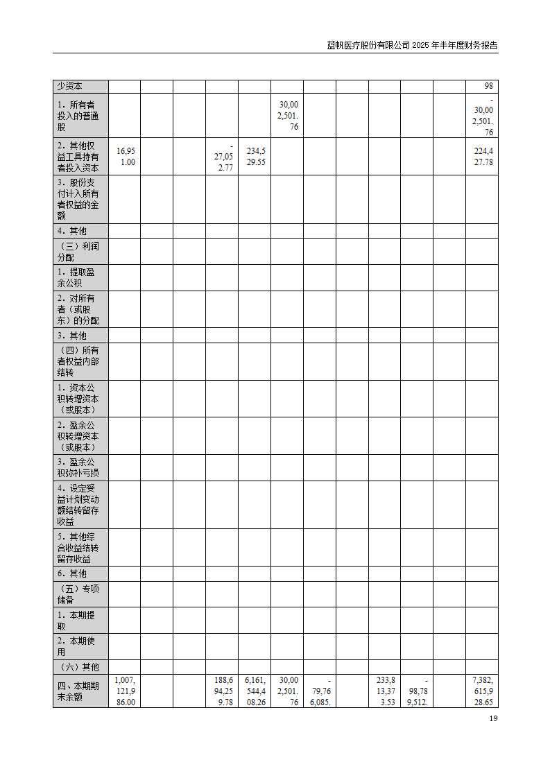 8-2025年半年度财务报告_19