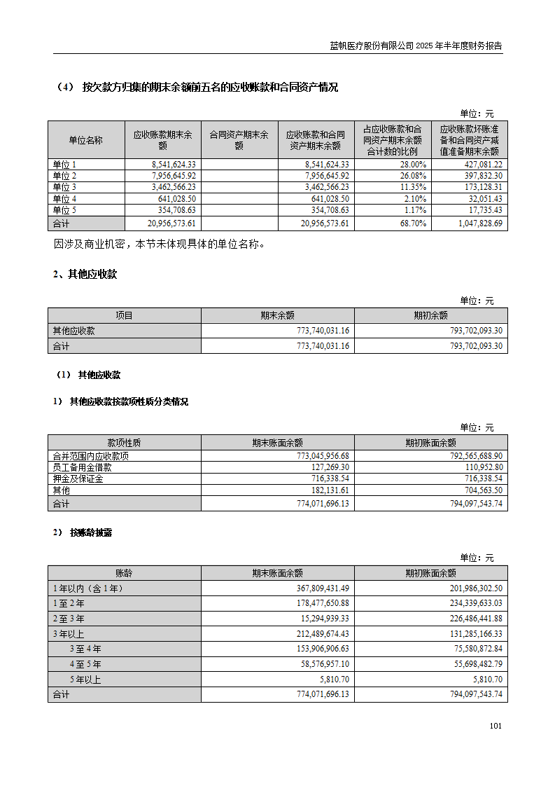8-2025年半年度财务报告_101
